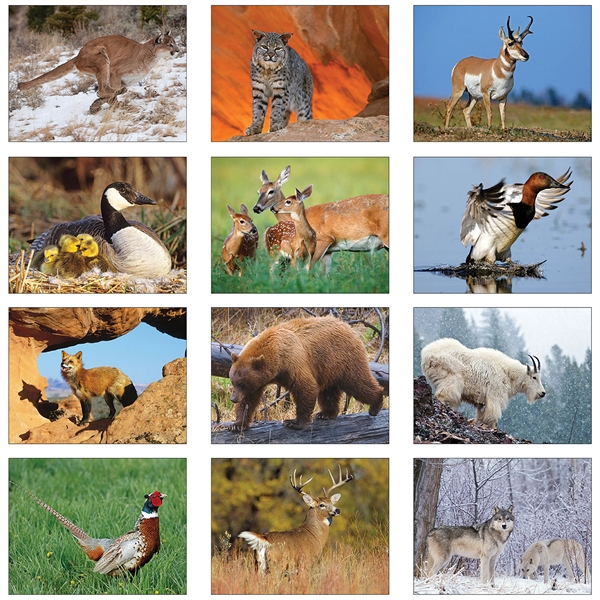 Art of Wildlife Executive Calendars, Custom Printed With Your Logo!