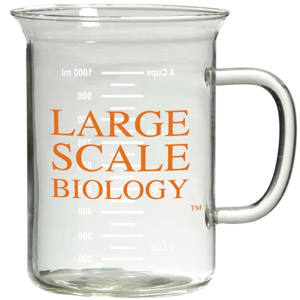 Insulated Latte Beaker Glass Mugs, Personalized With Your Logo!