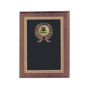United States Environmental Protection Agency EPA  Plaques, Custom Imprinted With Your Logo!