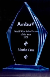 Airflyte Acrylic Honor Awards Engraved, Customized With Your Logo!