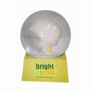 Brain Shaped Stock Snow Globes, Custom Imprinted With Your Logo!
