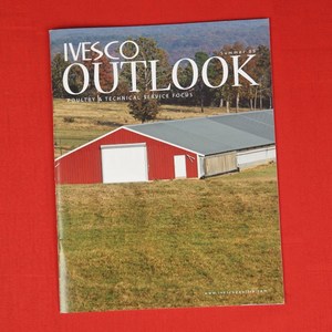 Catalogs Booklets and Brochures, Custom Imprinted With Your Logo!