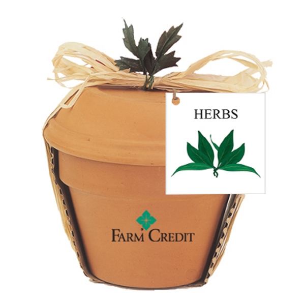 Pine Tree Plant Kits, Custom Imprinted With Your Logo!