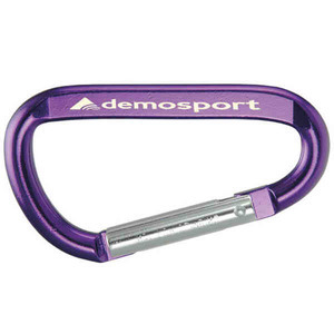 Die Cast Metal Carabiners, Custom Designed With Your Logo!