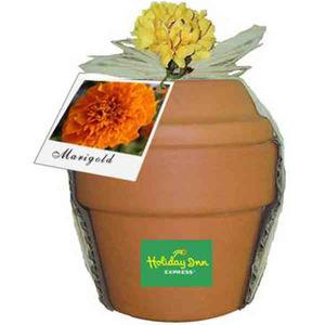 Marigold Plant Kits, Custom Designed With Your Logo!