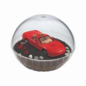 Custom Printed Mobile Corvette Crystal Globes