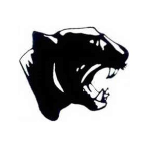 Custom Printed Panther Mascot Tattoos