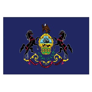 Pennsylvania State Flags, Custom Printed With Your Logo!
