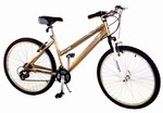 Safety, Recognition and Incentive Program Columbia Ladies' 26 inch Mountain Bike!