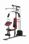 Safety, Recognition and Incentive Program Weider Single Stack Home System!